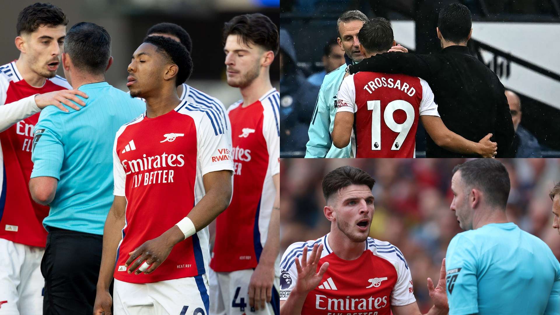 篮和强悍的 篮和强悍的